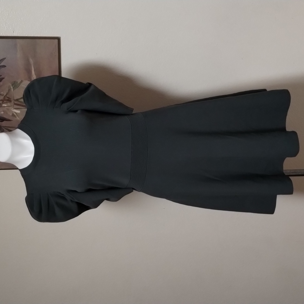 Ted Baker LLORNA Skater dress - Picture 2 of 8